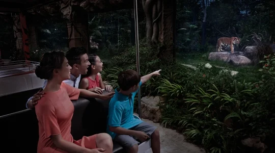 ナイトサファリ